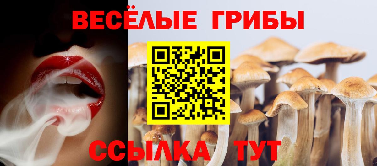 Галлюциногенные грибы GOLDEN TEACHER  Псилоцибиновые грибы MAGIC MUSHROOMS  Домодедово  Вход с VPN 